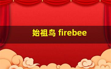 始祖鸟 firebee